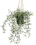 Artificial Hanging Senecio
