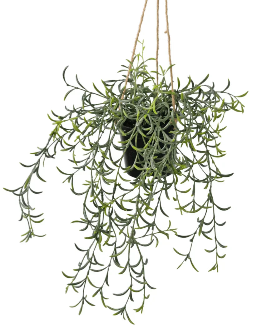 Artificial Hanging Senecio